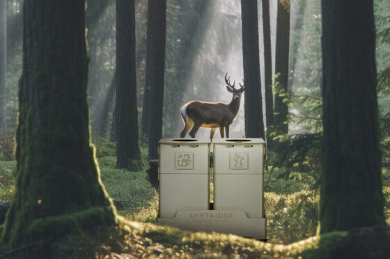 Eco-friendly Sortaider plywood waste sorting bins in a forest, symbolizing sustainable design and nature-friendly materials